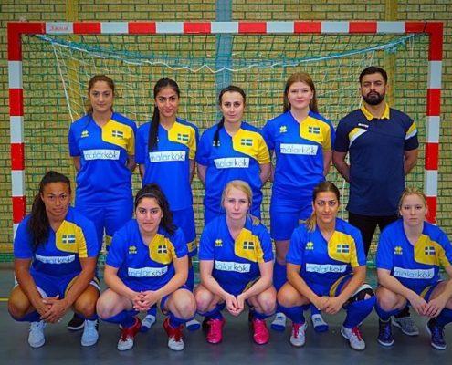 http://futsal.se/wp-content/uploads/2015/08/teamsweden_damer-495x400.jpg