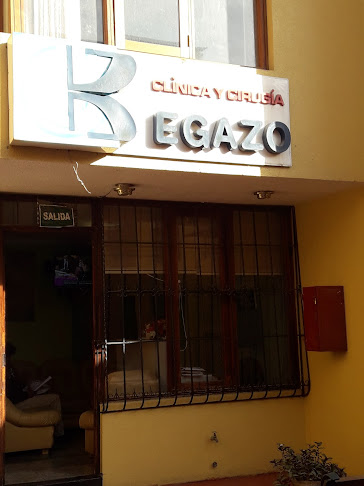 Opiniones de Clínica y Cirugía Begazo en Arequipa - Hospital