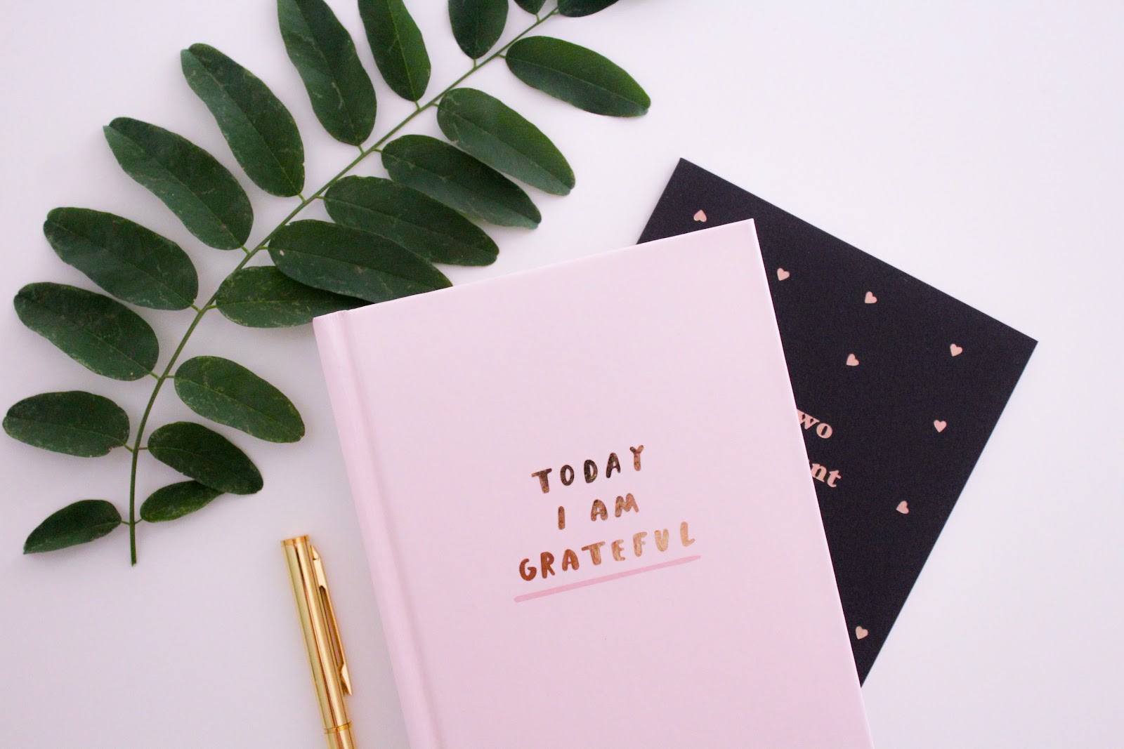 Photo by Gabrielle Henderson - gratitude journal, pens, and leaves