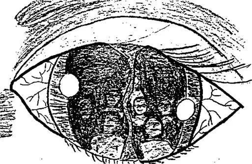 D:\0 wd yedek\acr yedek\1 film indirme\drawing_psychotherapy_methodical_dosyalar\image082.jpg