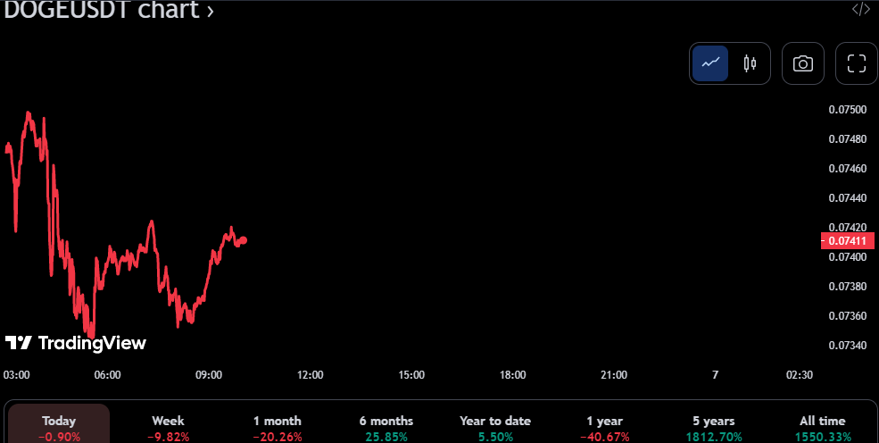 DOGE/USDT 24-hour price chart (source: TradingView)