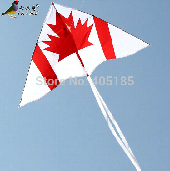 Image result for flag kites