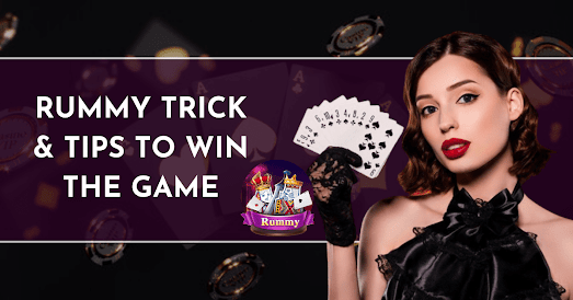 rummy tips and tricks, rummy 555, rummy loot