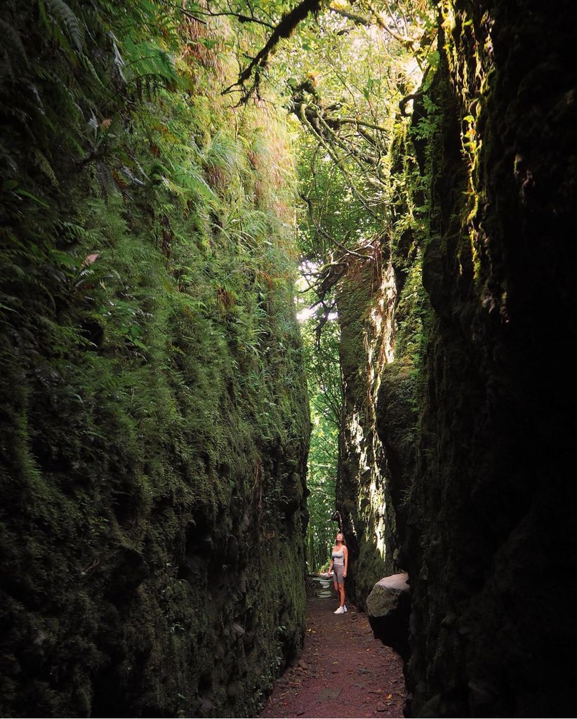 Woman staring up at Mombacho volcano jungle wall in Nicaragua