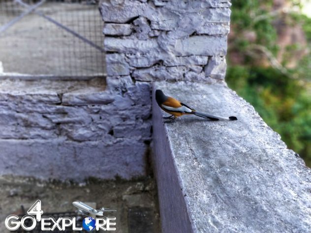 Garadiya Mahadev Temple - How to Reach - Best Time to Visit