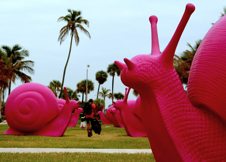 Pink Snails Pink Snails