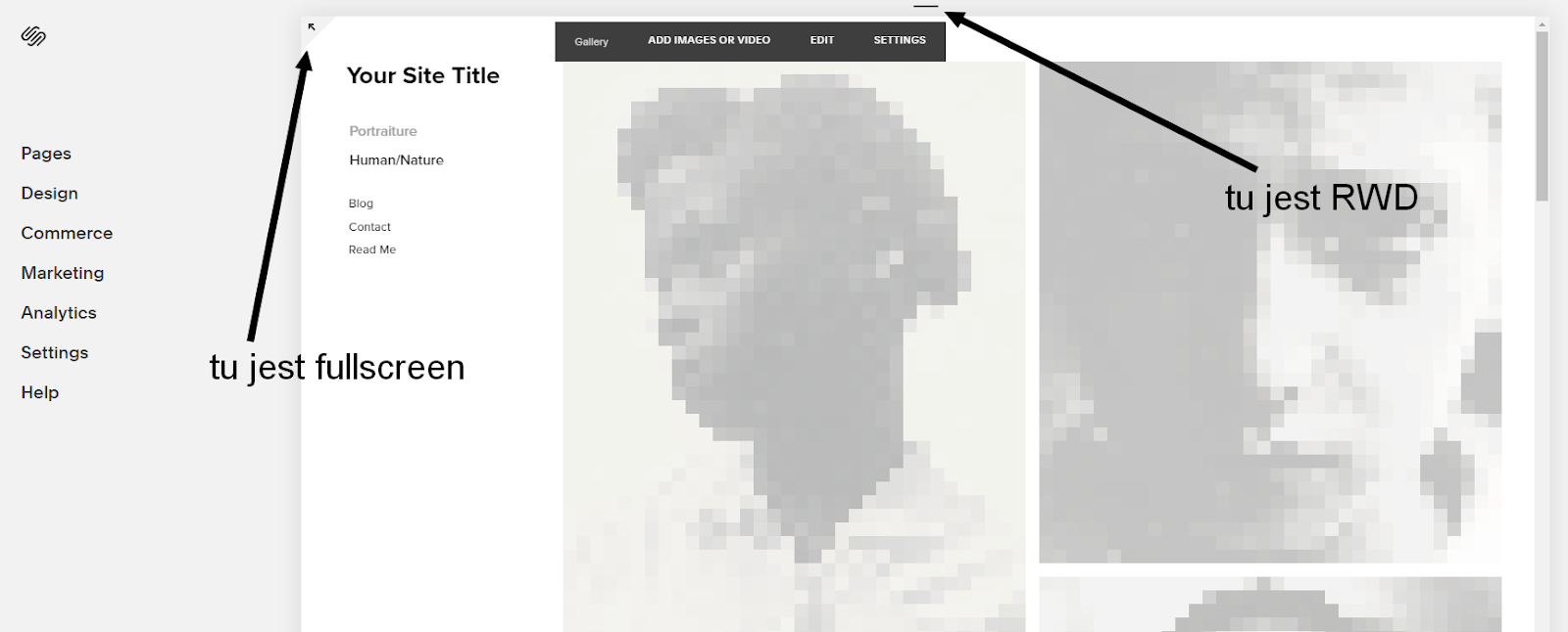 Squarespace opinie - pełna recenzja dla użytkowników na 2023 3