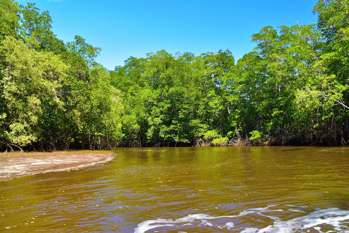 Tamarindo Estuary