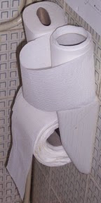 CartaIgienica3