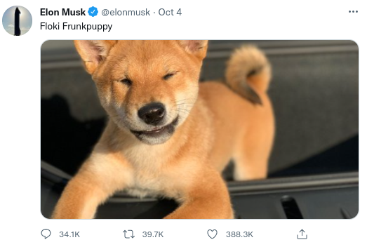 Elon Musk tweets shiba puppy photo