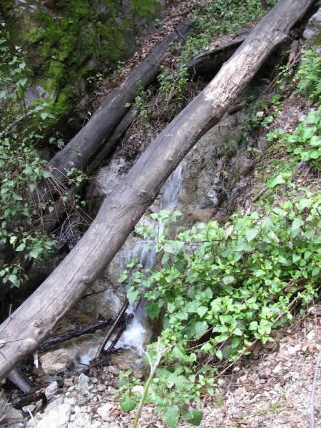 Upstream cascade.