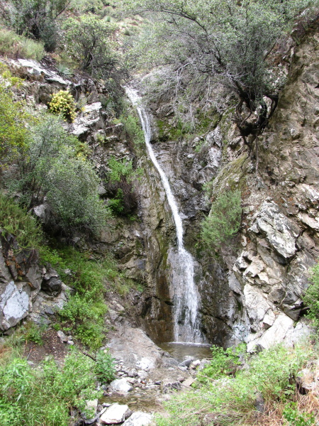 Small falls along the trailside.