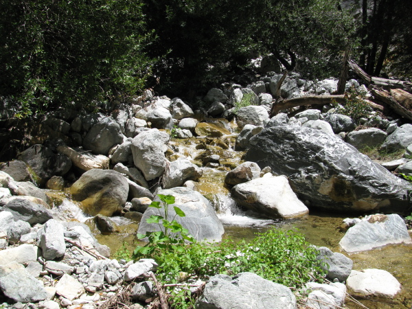wide spot along the creek's flow