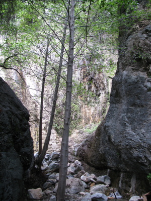 a narrow space in the cgulch, only a few feet