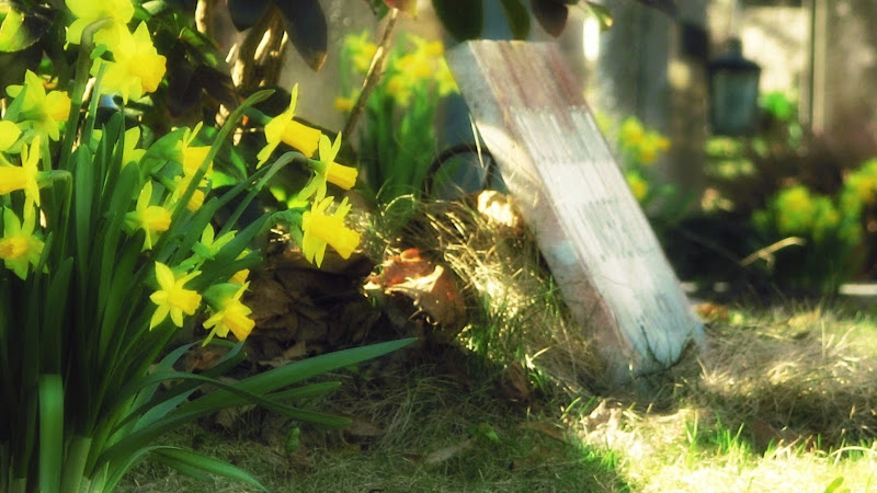 Пасхальный цвет - красный