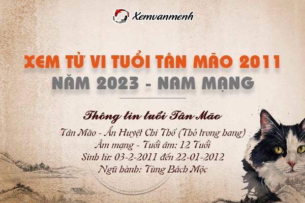 Tử vi tuổi Tân Mão nam mạng năm 2023 