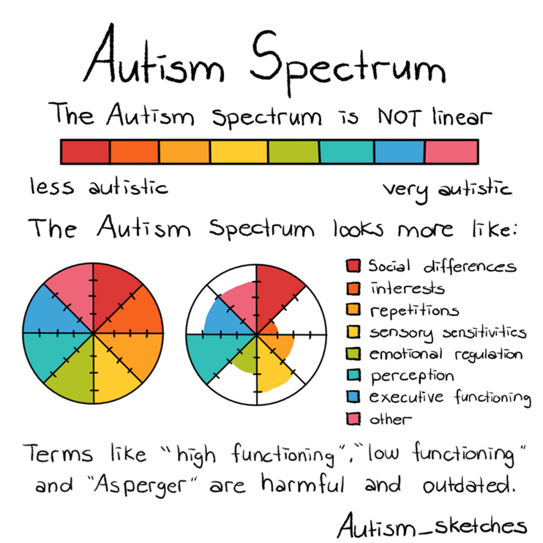 The autism spectrum is NOT linear. The autistic spectrum looks more like a pie chart sepearated into many different qualities. Such as social differences, interests, sensory sensitivities, or executive functioning. Each of these and the varying effect they have on autistic people's lives creates a better picture of a spectrum. 