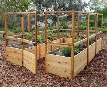 Deer Proof Cedar Complete Raised Garden Bed Kit - 8' x 12' | Eartheasy.com