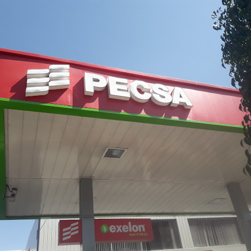 Opiniones de PECSA - Av.Jorge Chavez en Arequipa - Gasolinera