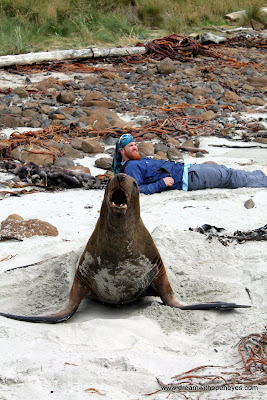 working on my tan with new friends in new zealand