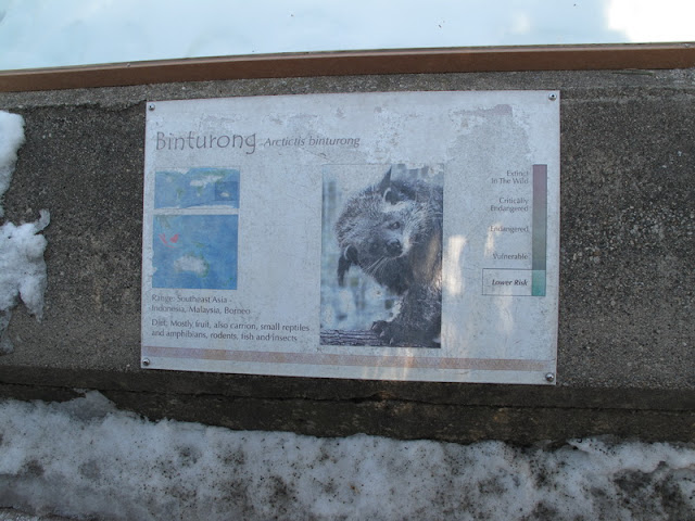 Tabliczka binturongów