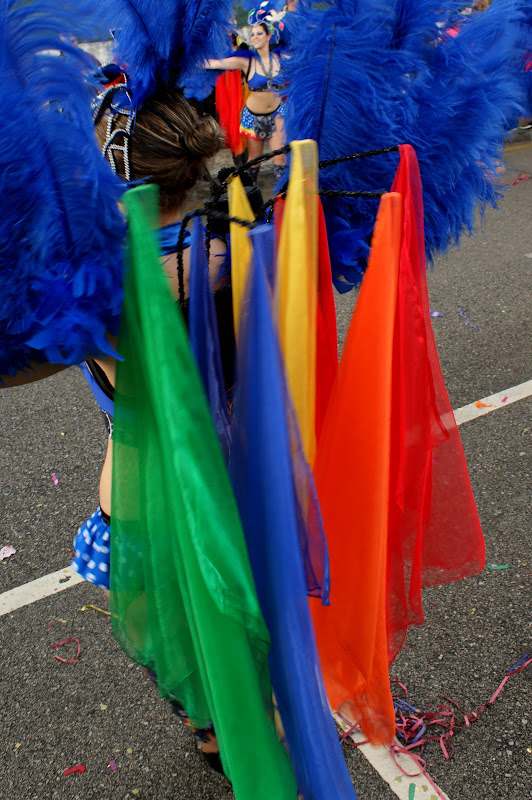 Carnaval de Estarreja 2011, Cores