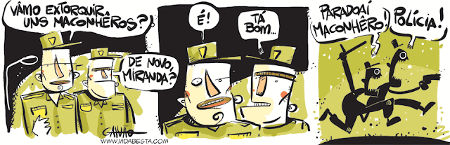 www.vidabesta.com