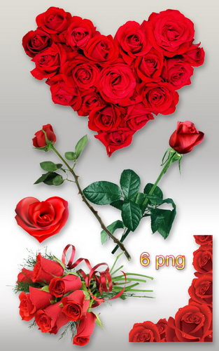 اهدي 3 وردات يوميا لثلاث اعضاء في المنتدى Red.roses500