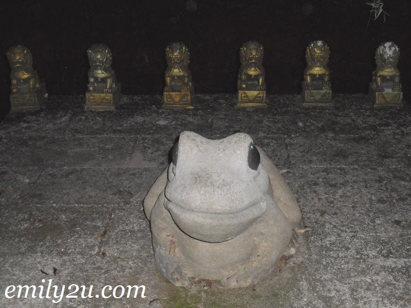 smiling toad