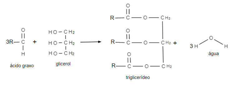 Reação de obtenção de triglicerídeo