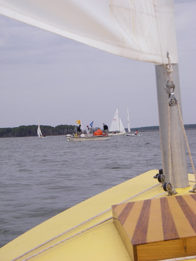 IMGP9906.JPG