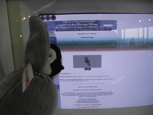 https://lh4.googleusercontent.com/_7ODftPSZPsY/TWQrRqClGFI/AAAAAAAAC_0/HtqmmXRI5bQ/luctech1.jpg