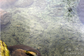 苗栗南庄知泉渡假山莊 @八大露營社活動