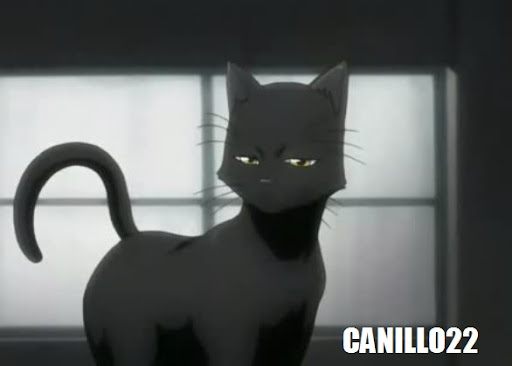TOP 21 Animes Romance-Comedia TOP 21 Animes Romance-Comedia