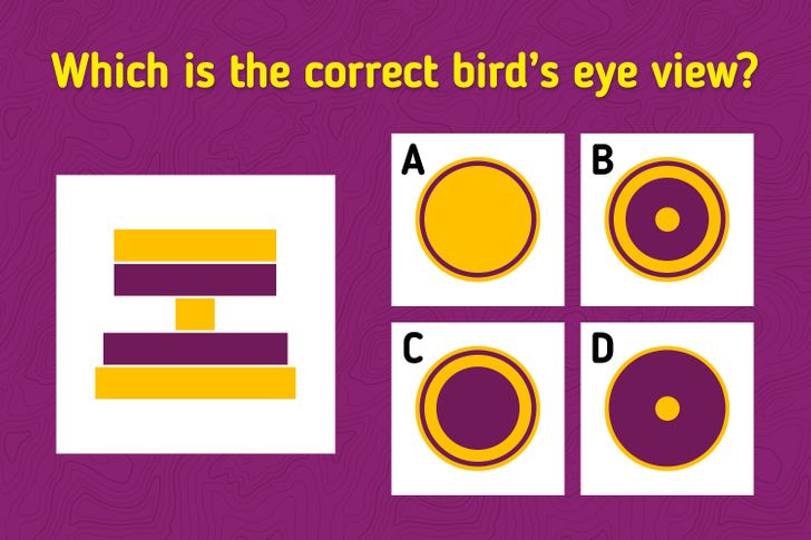 Brain teaser "which is the correct bird's eye view"