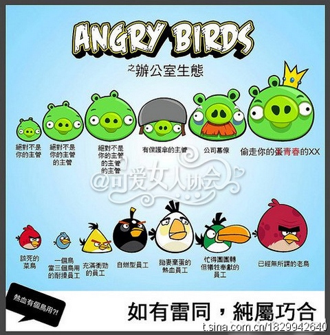Angry Birds之辦公室生態