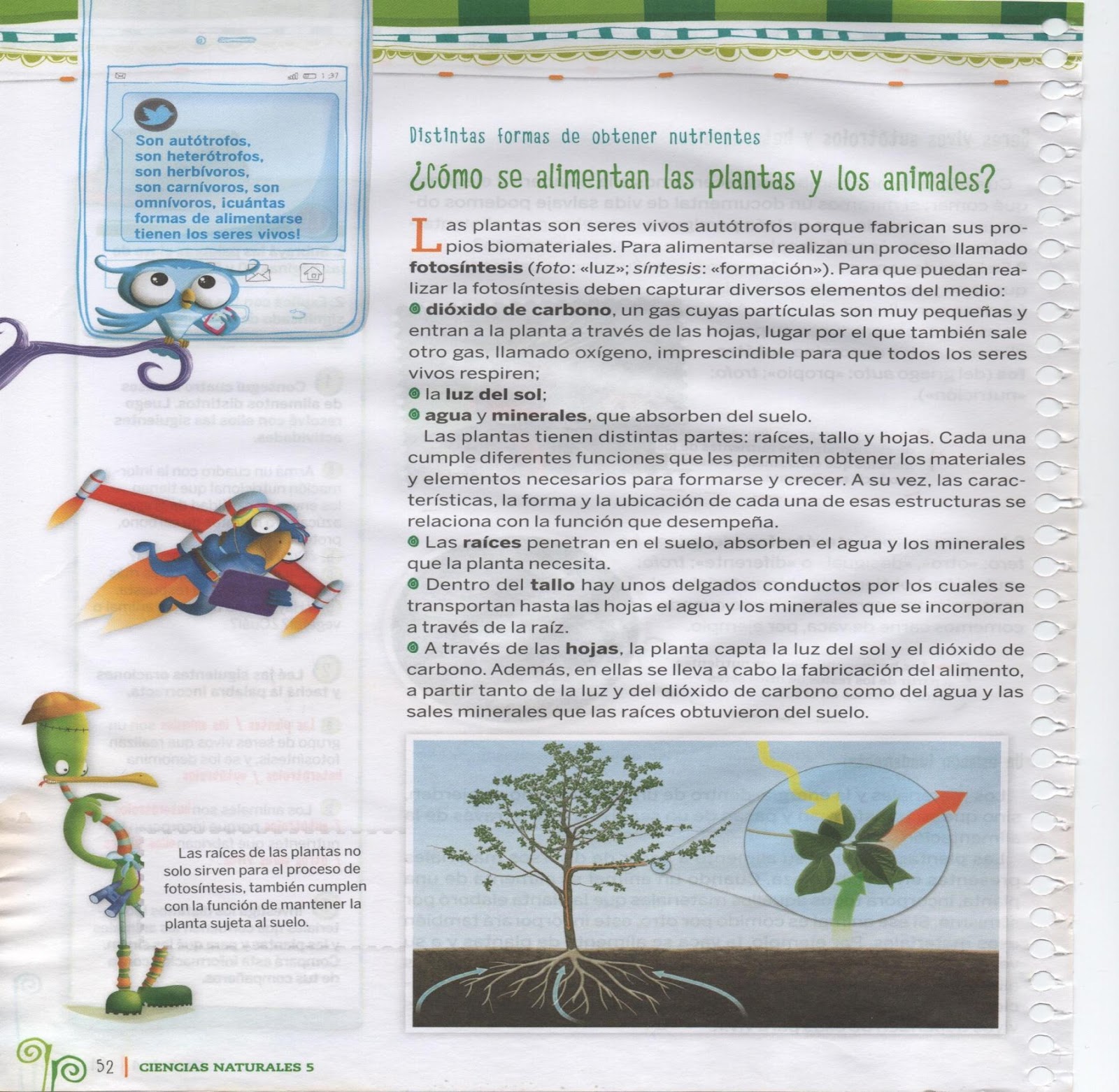 C:\Users\Usuario\Desktop\5º B-2021- GRETA\2021-05-31 II\II 001.jpg