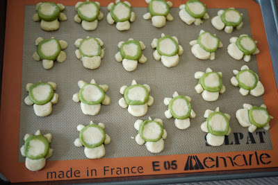 overhead photo of turtle sugar cookies