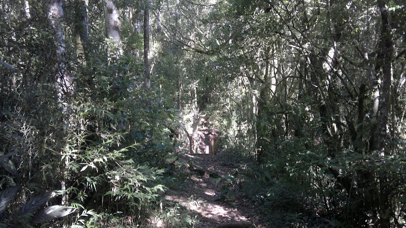Fotos Jungle Warfare Paintball - Horto Florestal  20032011069