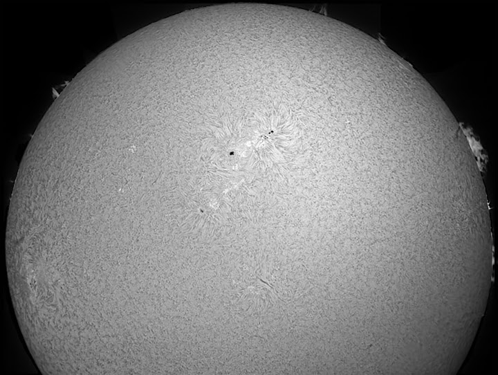 Bild