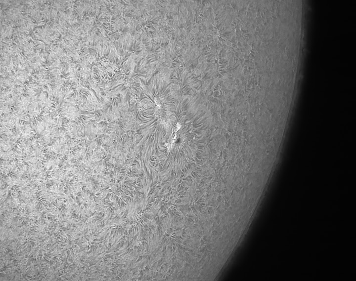 Bild