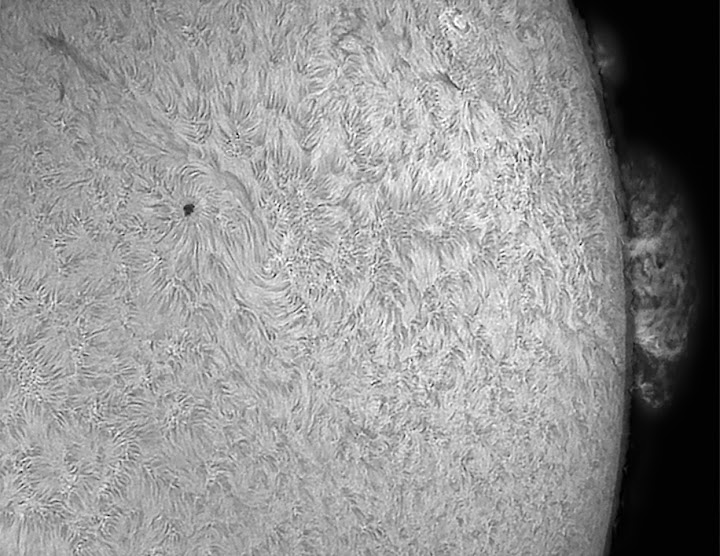 Bild