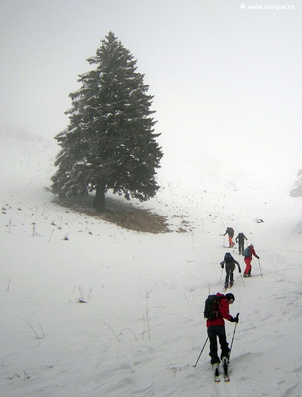 schi in Ciucas