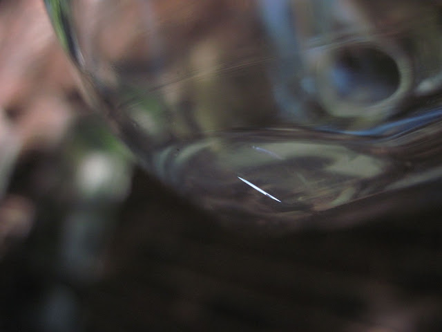 Adagio Teas Kettle, Glass Water