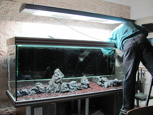 Aquarium en Aquascaping de 800 litres Aquarium-aquascaping-sol-3