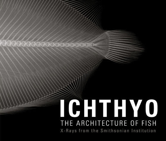 Ichthyo: The Architecture of Fish