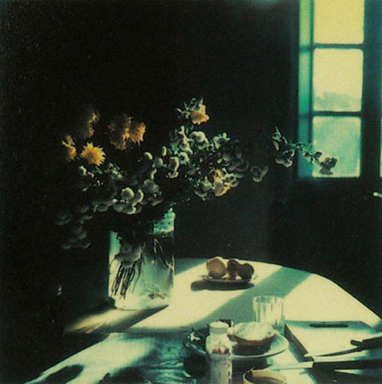 Tarkovsky's Polaroids