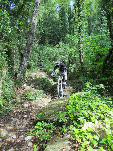 DSCN3398.JPG