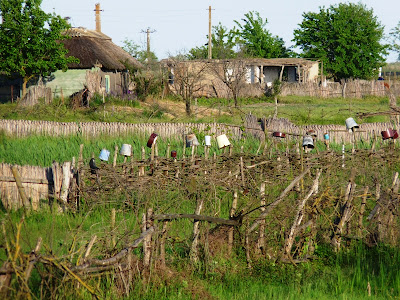 satul lipovenesc - case din Letea