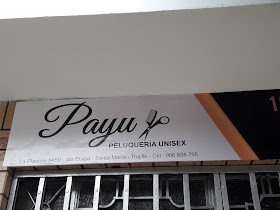 Payu Peluquería Unisex